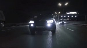 Лёша Стелит & Andery Toronto - Стая