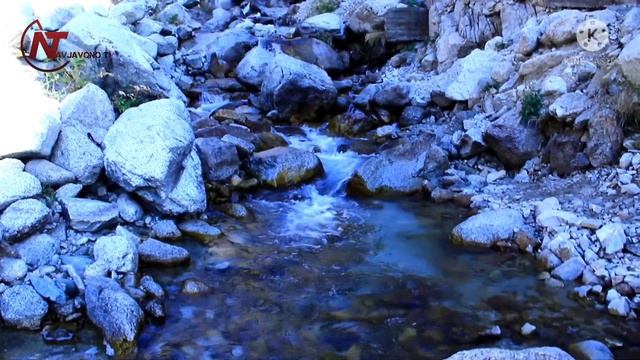 ХОЧА ОБИГАРМ 2021 HOJA OBIGARM 2021