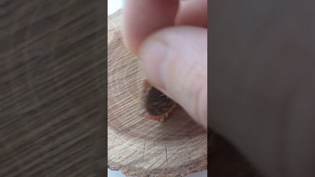 Нагрудный Знак СССР .Лучший Рационализатор.Калужской области .Фалеристика . #барахолка #хобби #знак смотреть онлайн