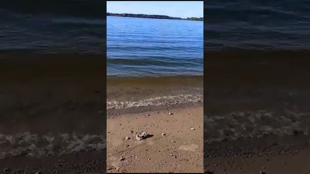 Рыбалка на донку на леща смотреть онлайн
