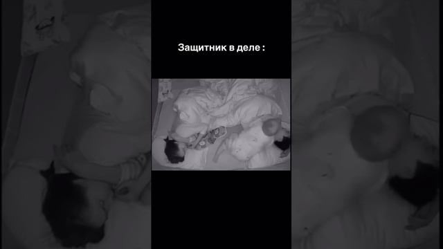 твой муж не даёт выспаться