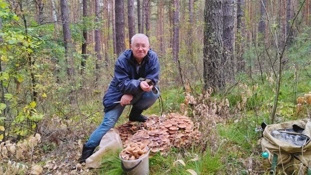 "Счастливый грибник" #собирать_грибы #бор #лес