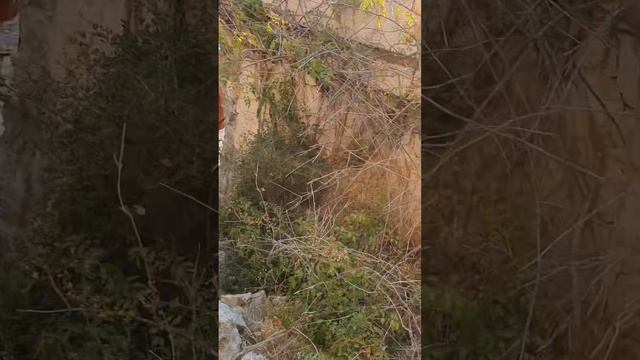 Турция, заброшенный отель в г.Каш и пустой бассейн 👀 поставь 🙏🏻❤️ смотреть онлайн