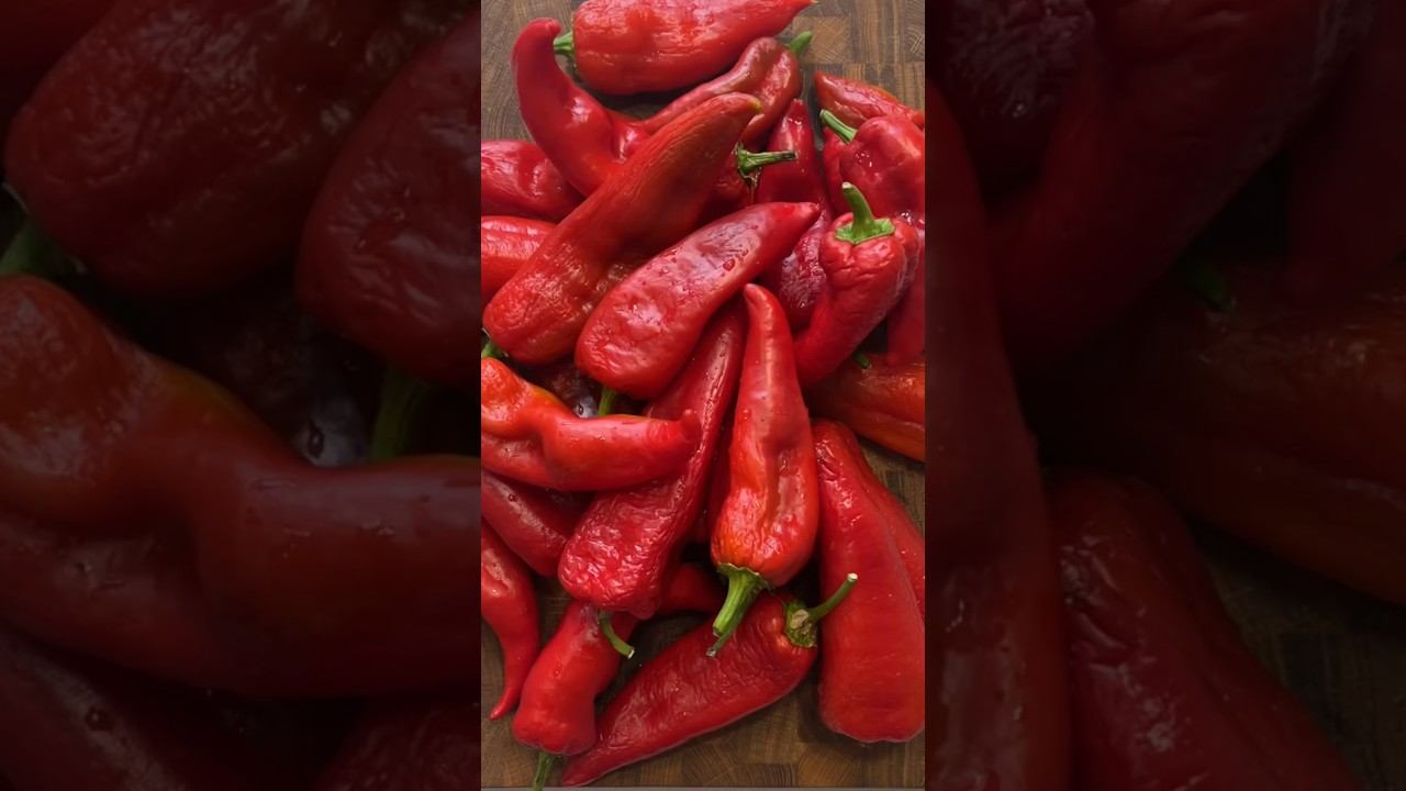 Вкусная закуска из печеного сладкого перца #shorts#закуска#болгарский перец#готовка#рецепт смотреть онлайн