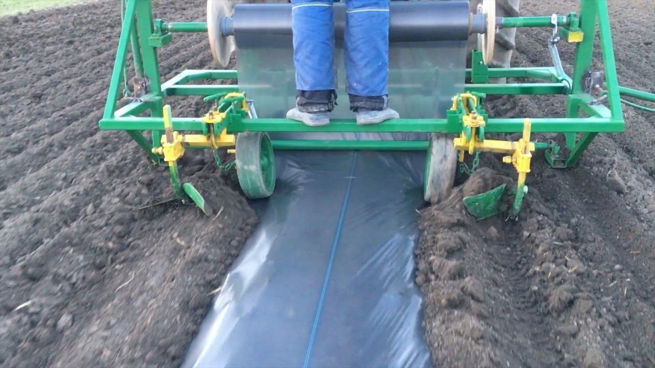 Мульчируем почву с помощью пленкоукладчика.