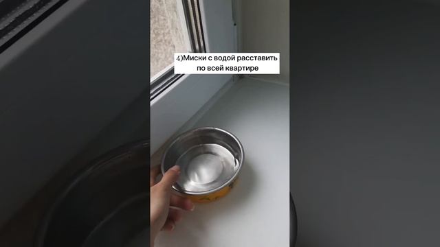 Советы,как спасти кота от жары😊 смотреть онлайн