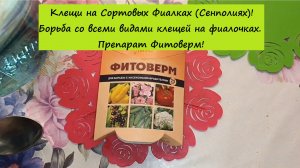 Клещи на Сортовых Фиалках (Сенполиях)! Борьба со всеми видами клещей на фиалочках. Препарат Фитоверм