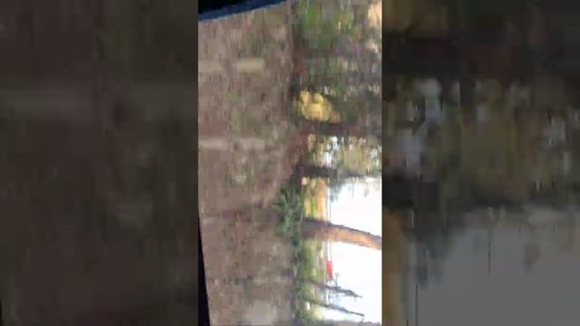 Transporte Monja blanca directo para Cobán смотреть онлайн
