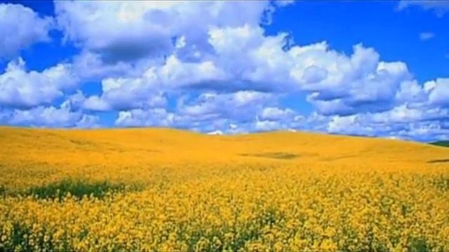 Світлана МИРОЧНИК "В МОЄМУ СЕРЦІ КВІТНЕ УКРАЇНА"( Н.Омріяна-Бай, І.Пустовий) смотреть онлайн
