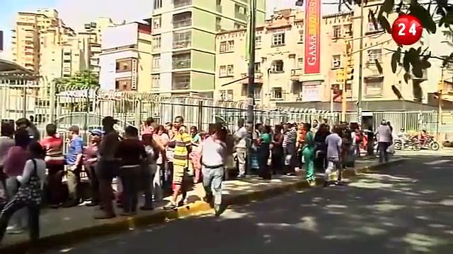 В Каракасе расплодилось много попугаев смотреть онлайн