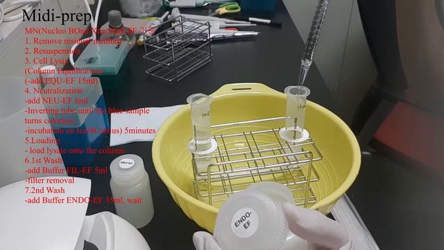 Midi-prep step2.Plasmid prep смотреть онлайн