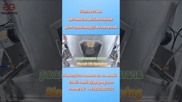 Полностью автоматическая линия по производству печенья смотреть онлайн