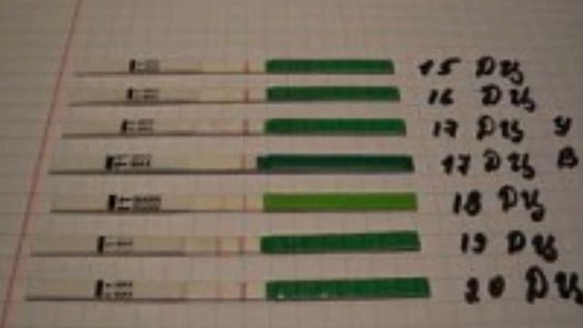 HOMILADORLIK TESTI QACHON O'TKAZILADI