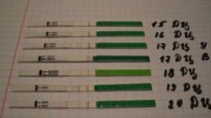 HOMILADORLIK TESTI QACHON O'TKAZILADI