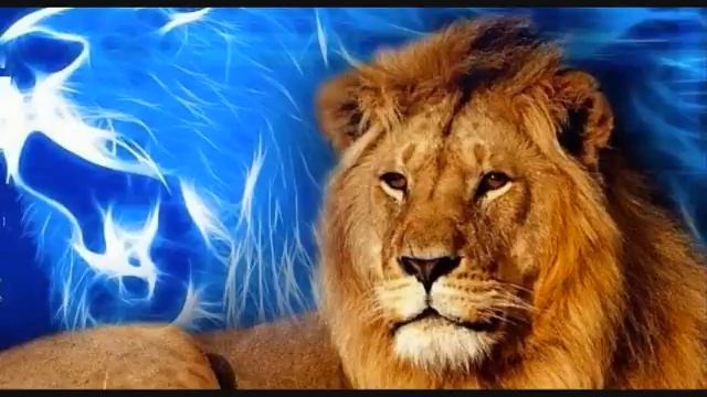 L- ahdar Noboduh ( que sera ) смотреть онлайн