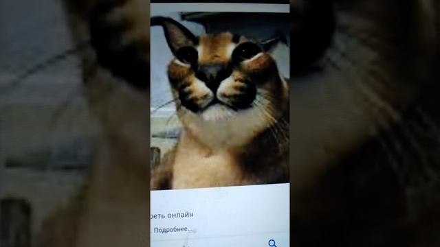 Эдит на русского кота Шлëпа. смотреть онлайн