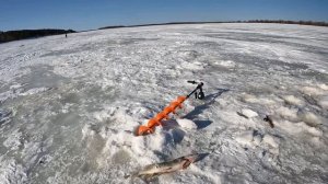 Рыбалка на реке Северная Сосьва! Жерлицы на щуку! #жерлицынащуку