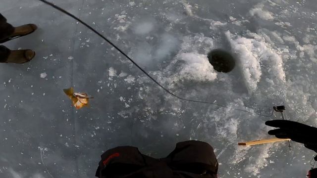 Green Bay Perch ICE BEAT DOWN (BONUS CATCH & COOK) смотреть онлайн