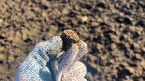 Китайский металлоискатель TX 630. Обзор, тест, коп монет.