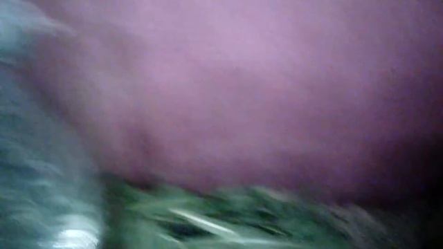 ЕеДА!!! смотреть онлайн