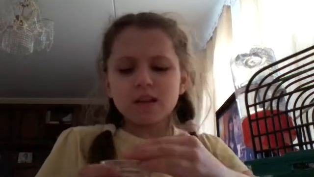 Новинки хомяка смотреть онлайн