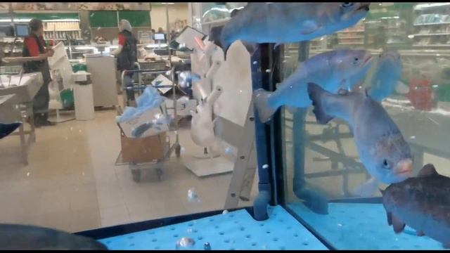 Выпускной у Алины: отдыхаем в танце смотреть онлайн