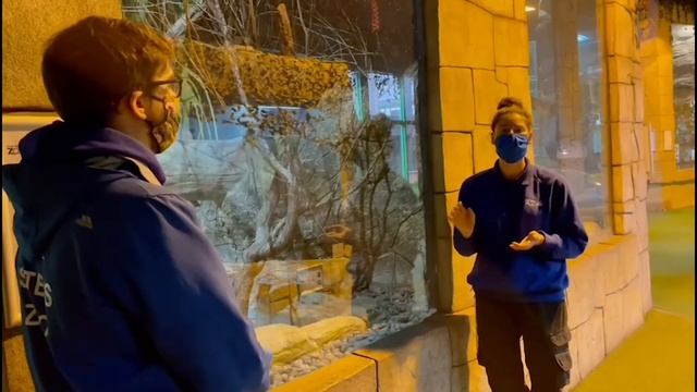 FSZ Education - Rainforests Part 1 смотреть онлайн