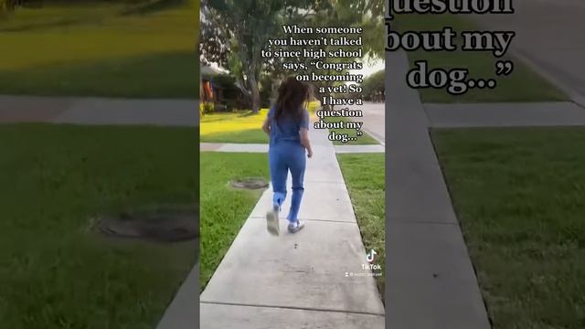 Congrats, You’re A Vet! Now Answer My Dog Question. смотреть онлайн