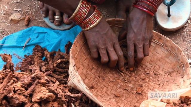 Chasing Rural Summers | Episode 2 | Exploring the Tribal Haats of Odisha смотреть онлайн