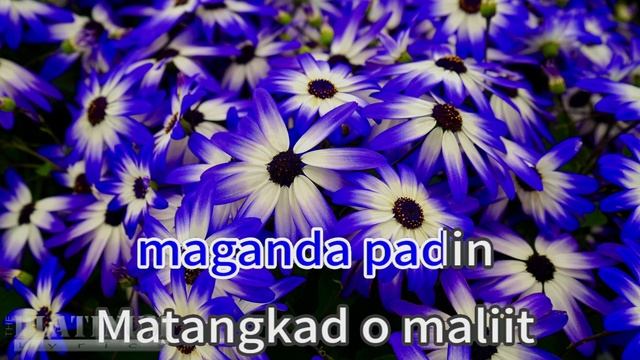 People pleaser 39453 Cat Burns смотреть онлайн