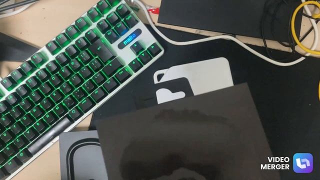 pulsar x2 mini Bruce Lee edition 開封 смотреть онлайн
