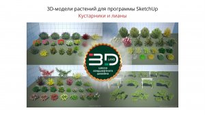 3D-растения для SketchUp. Кустарники и лианы