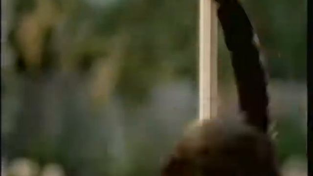 Whiskas Commercial, Aug 2 2002 смотреть онлайн