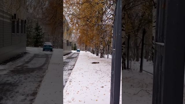 Московский Адвокат в регионах РФ: какой прожиточный минимум заслуживает ребенок в Ижевске, Удмуртия смотреть онлайн