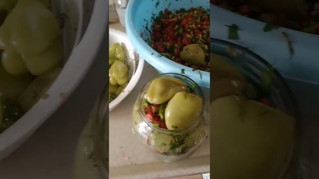 Dolma biber turşusu😋🧿#shotsvideo #duck #two #keşfet #turşuyapımı #anime #funnyanimals #turşusuyu смотреть онлайн