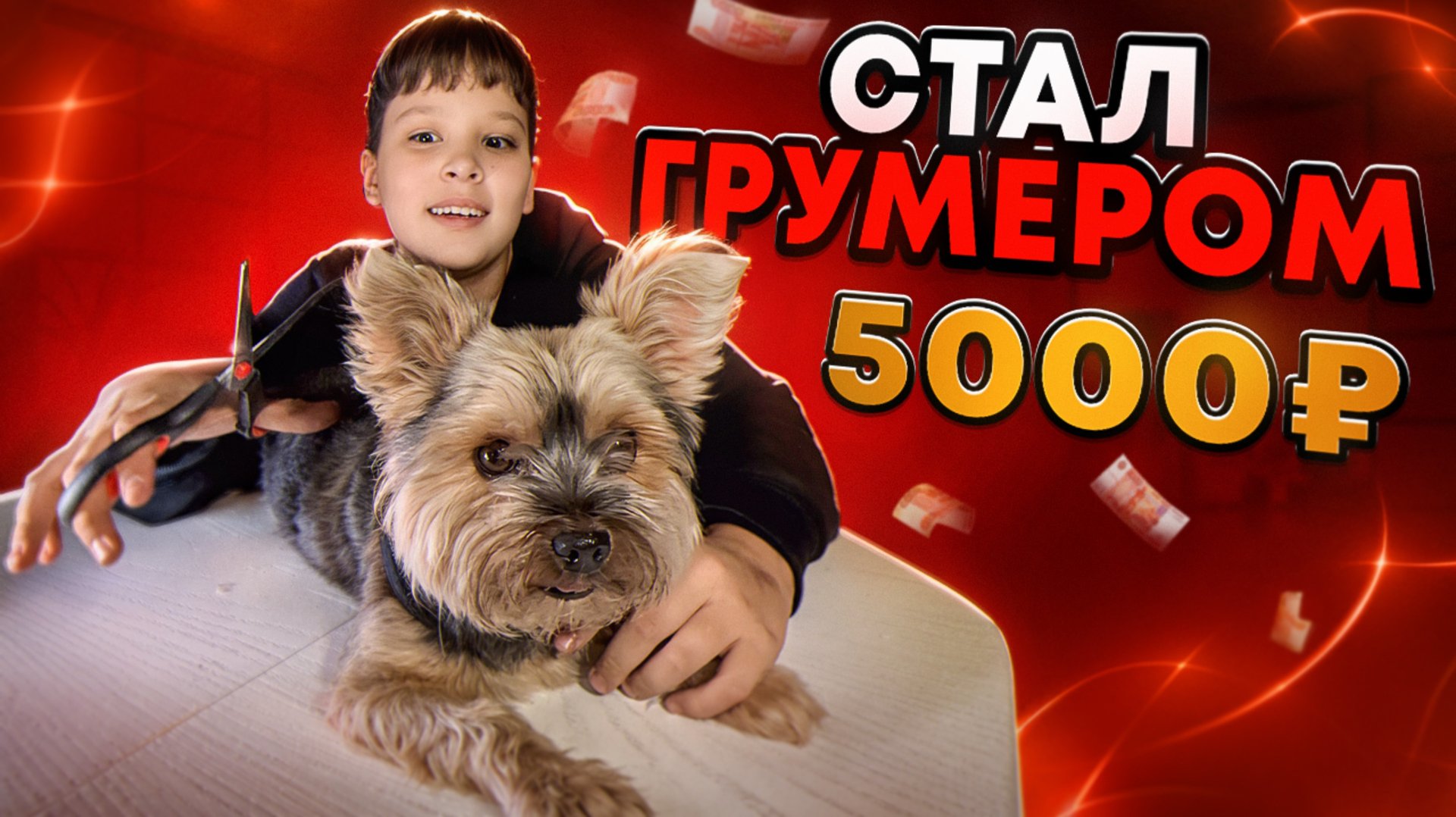 СТАЛ ГРУМЕРОМ за 5000₽ смотреть онлайн