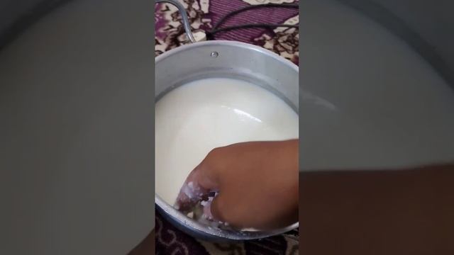 طريقة تحضير زبدة من حليب الماعز #السعودية смотреть онлайн