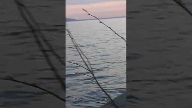 озеро покажу звук воды смотреть онлайн