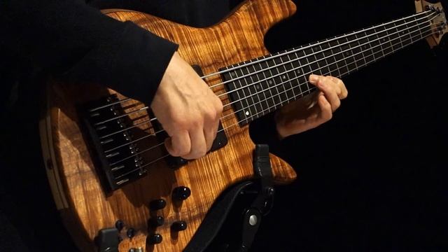 6 String Bass Solo - 'Analog Self'