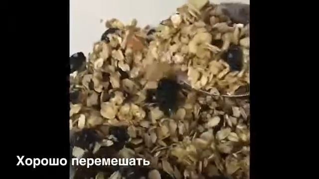 Гранола на завтрак смотреть онлайн