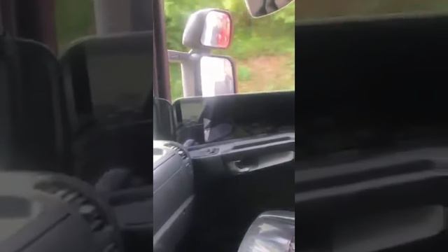 LES ROI DE LA MONTAGNE GUADELOUPE 💯🎶😎🌴 смотреть онлайн
