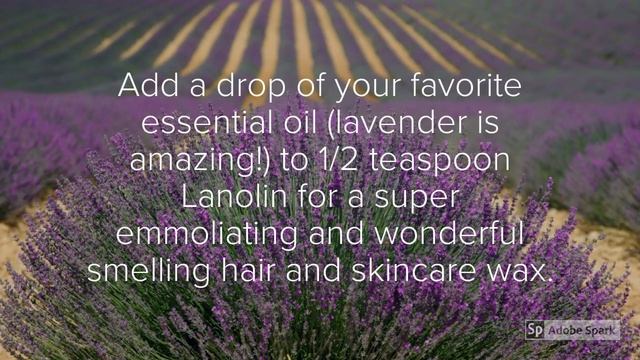 Lanolin: The Super Gentle Ultimate Hair and Skincare Ingredient смотреть онлайн