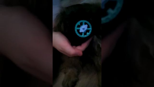 Оказывается для собак есть соски смотреть онлайн