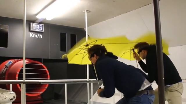 The maxi Storm Umbrella смотреть онлайн
