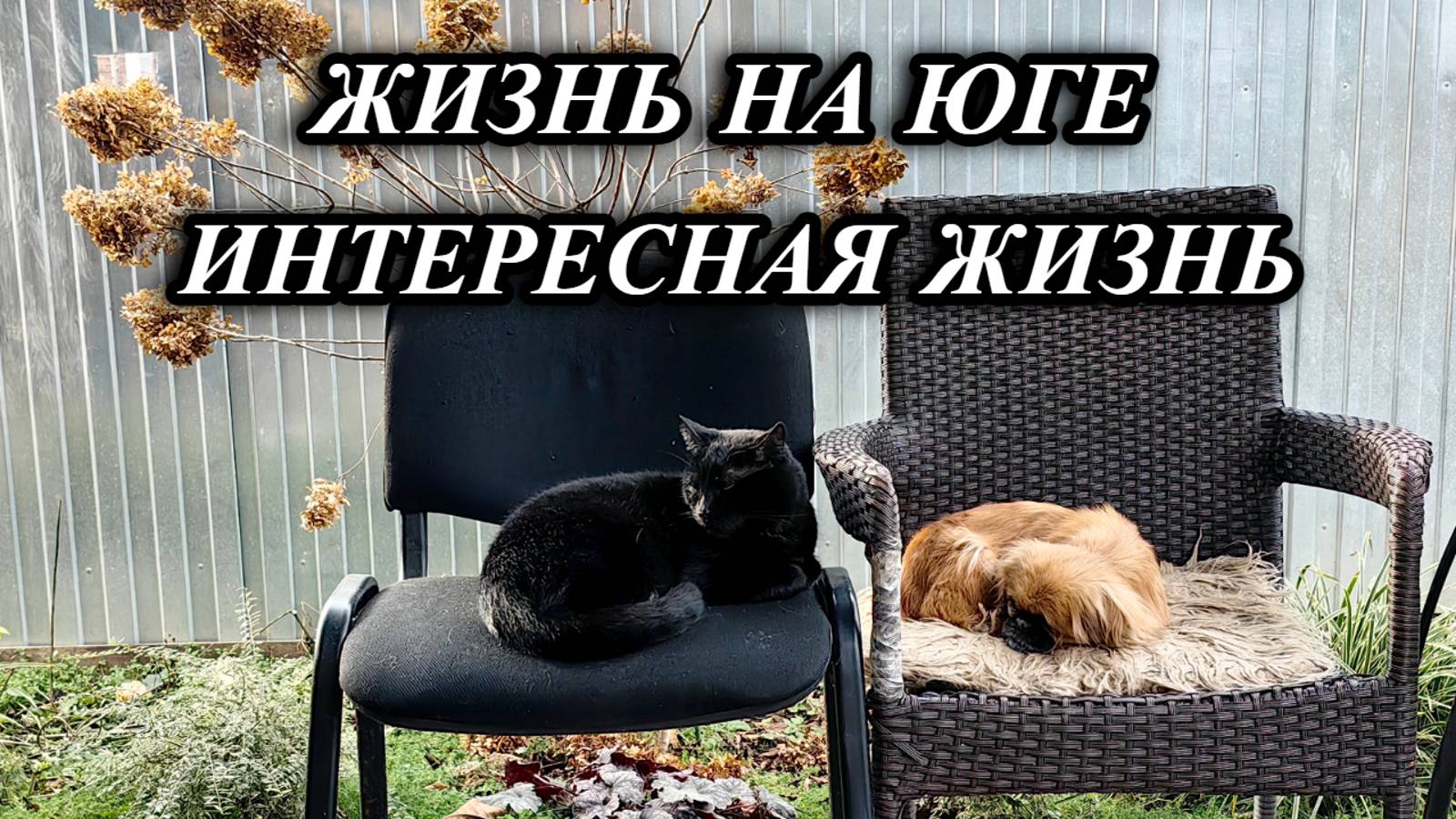 761ч Повседневная жизнь семьи/Работы в саду/Переехали на юг/Купить дом смотреть онлайн