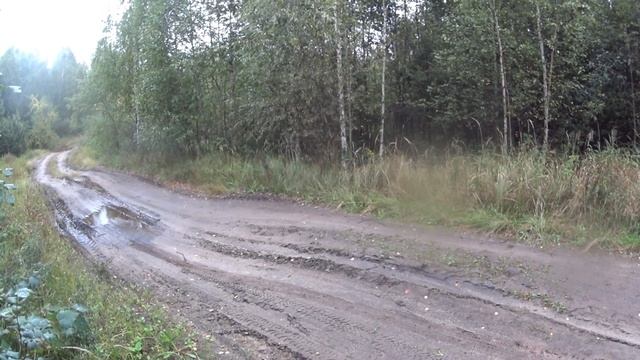 ОХОТА НА РЯБЧИКА 2021, ВЕЧЕРОМ ПРОМАХ , УТРОМ ДОБЫЛ. смотреть онлайн