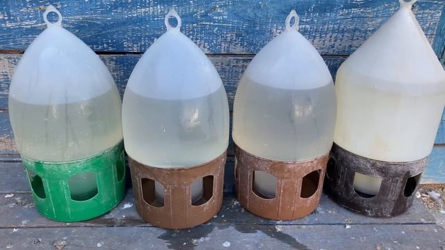 Забудете про Болезни своих Голубей! Простое средство! Смотри слушай до конца! смотреть онлайн