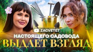 🌺МАРИНА ПАТРИНА рекомендует питомник ЭКОПЛАНТ