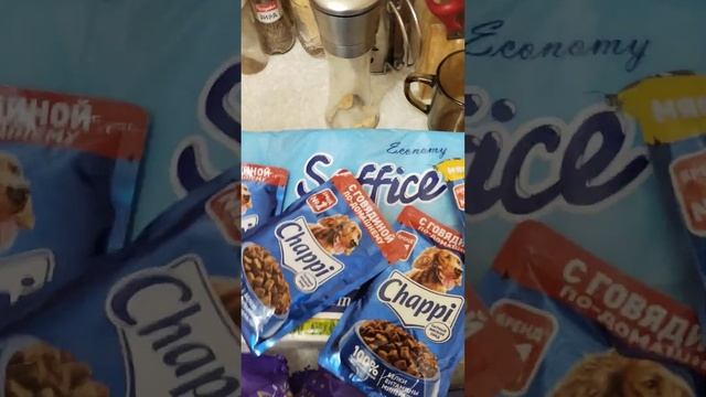 Закупился продуктами на Камчатке на 1400р 15 евро примерно смотреть онлайн