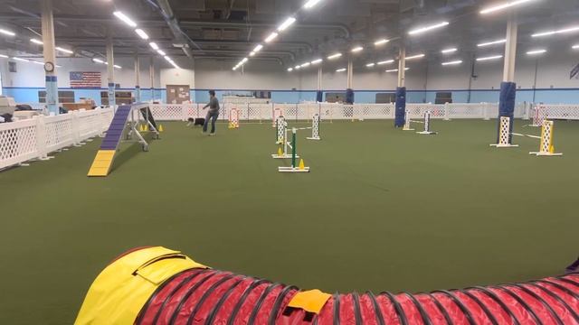 Vander Agility 2 Week 105 смотреть онлайн